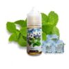 E-Liquido Mint Ice (Nic Salt) - Zomo